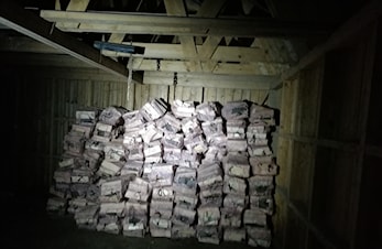 Blandings ved til salgs