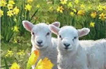 Dugnad - hjelp med å sette sauegjerde