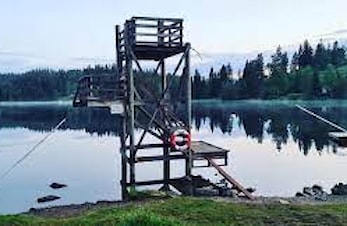 Dugnad - Badeplassen på Svea