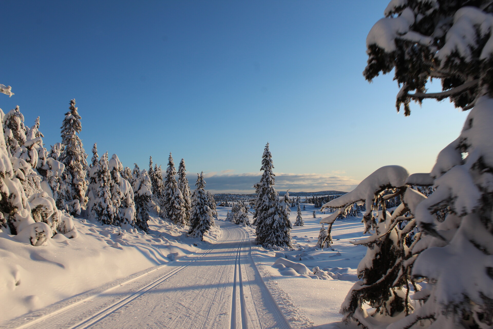 Invitasjon til snøsamling på Nordseter