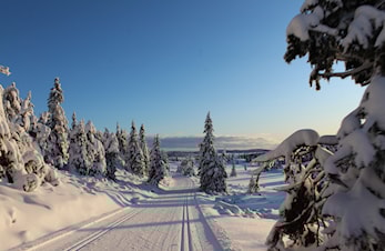 Invitasjon til snøsamling på Nordseter