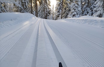 Klubbmesterskap og trippelrenn 2 Svea skilag