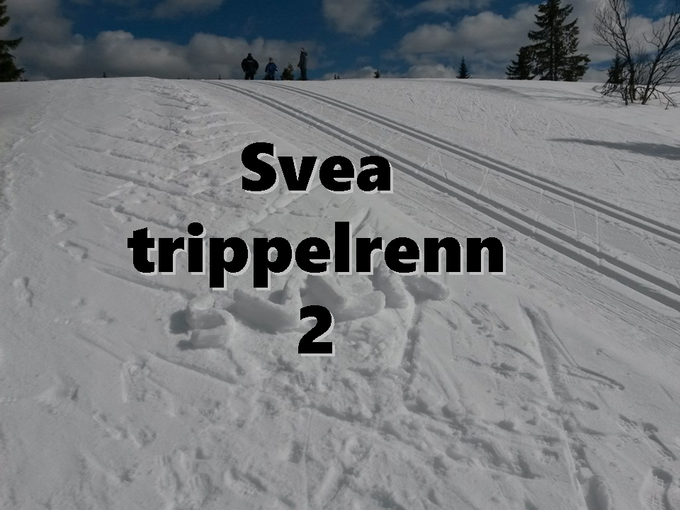 Trippelrenn 2 - 21. januar