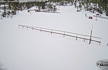 Webkamera Selbuskogen