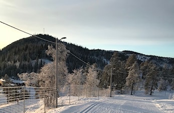 MNM2020 nærmer seg