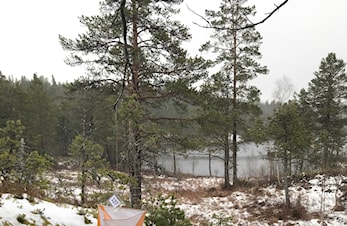 Ukas løype uke 20