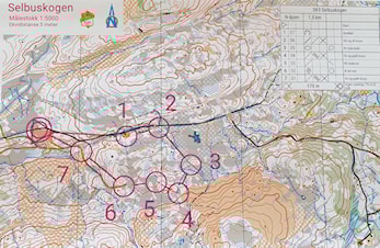 Velkommen til Stjørdalskarusell 5 på Selbuskogen