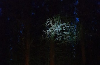Halloweenløp mandag 30. oktober, start kl 17.30