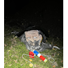 Halloweenløp 1/11 - Kinset
