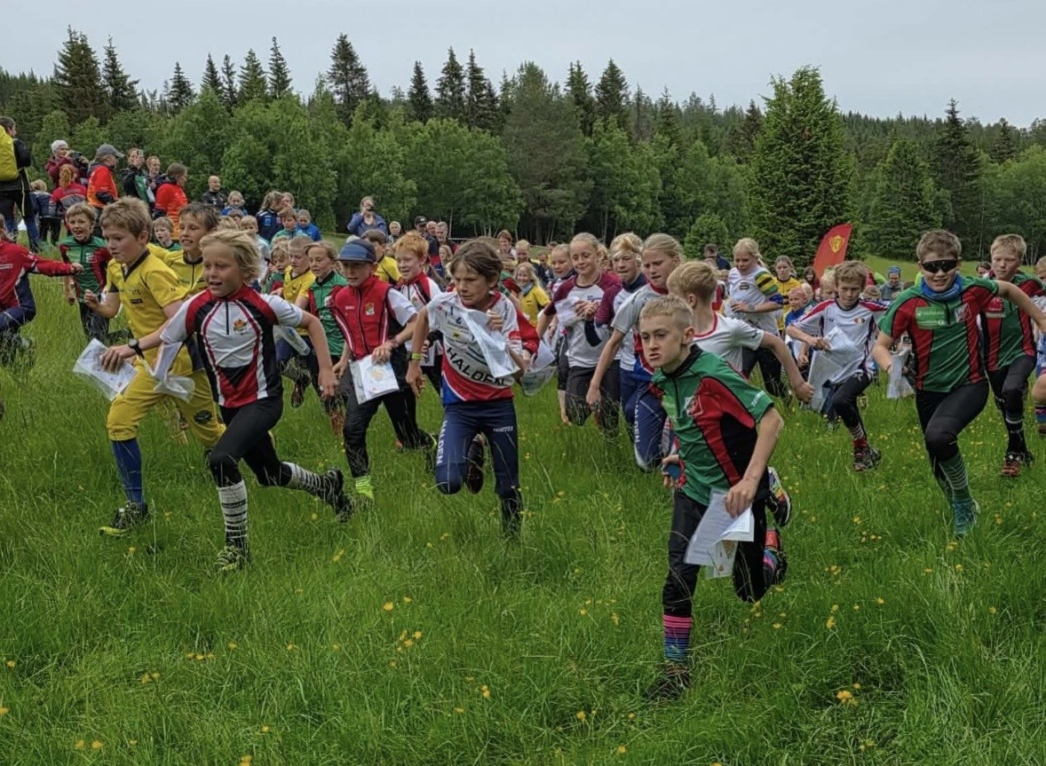 SBO høsten 2026