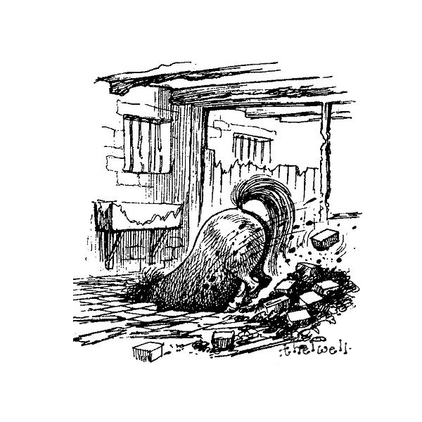 DOR-historie