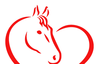 Tusen takk for hjelpen - vintercup dressur