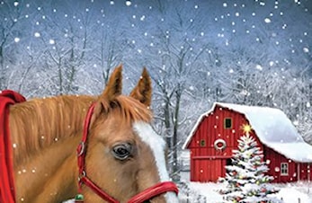 Vi ønsker dere alle en riktig god jul