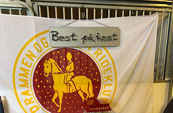 En liten statusrapport fra Grenland