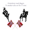 17.mai 2025