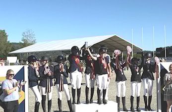 Bilder fra årets lag-NM ponni