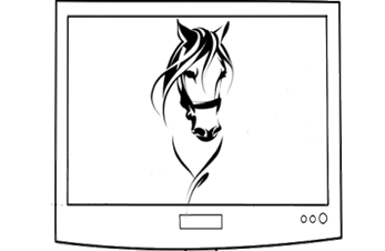 Hestesport på tv oktober 2025 (oppdatert 20/10)