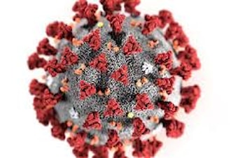 Dessverre starter 2021 med kansellerte treninger