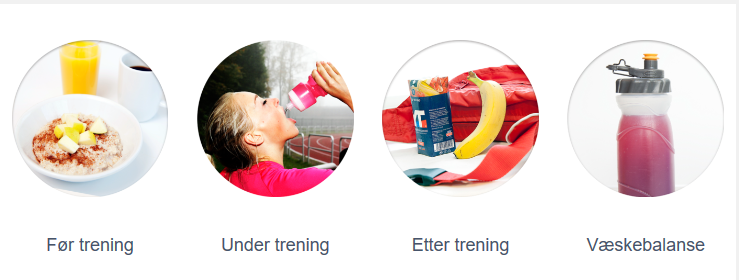 Obligatorisk kostholdskurs for svømmere på A/B/C