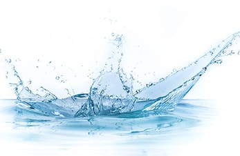 Ingen stevner fremover