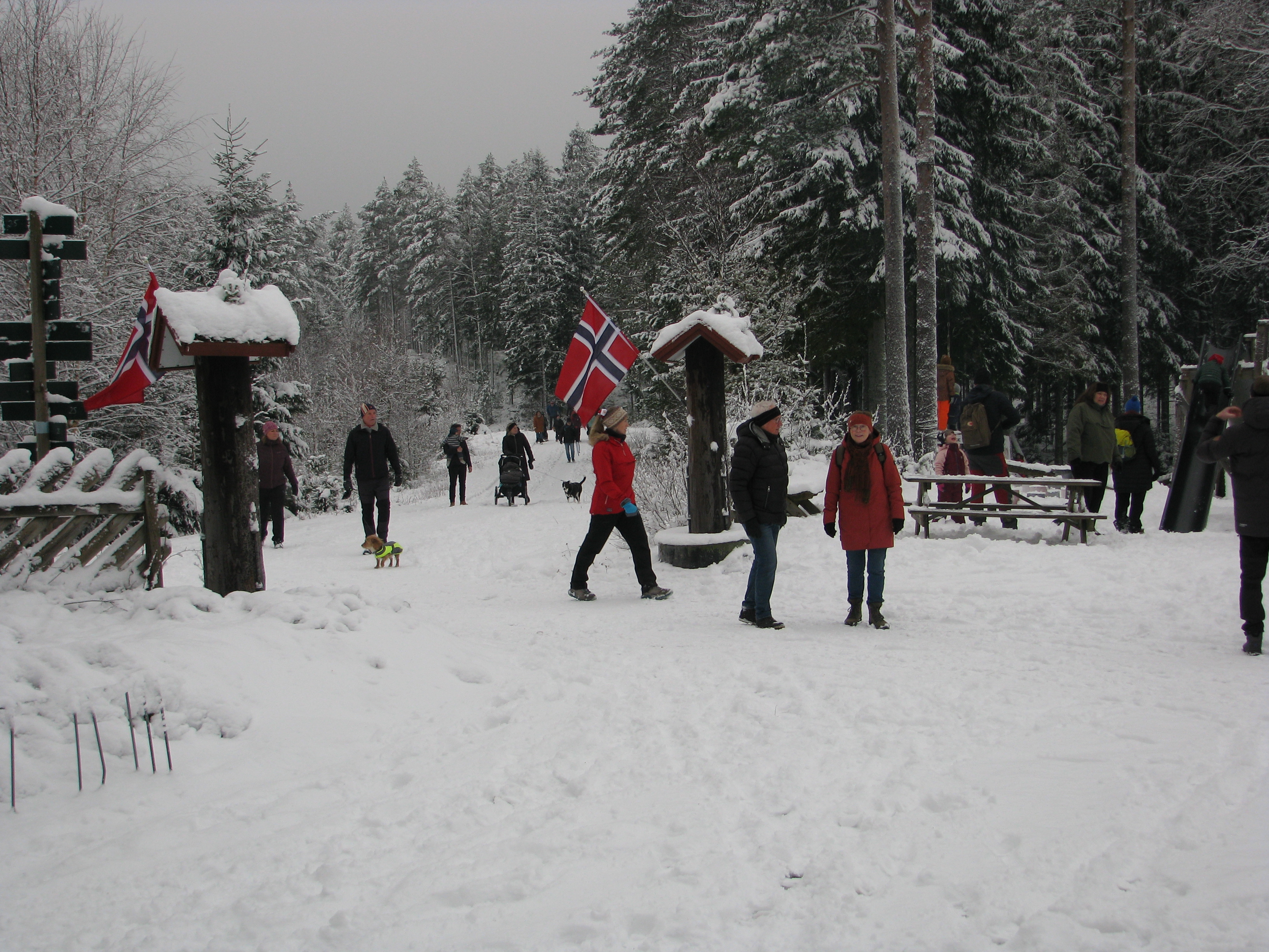 Vellykket NISSESØNDAG på Ertehytta!