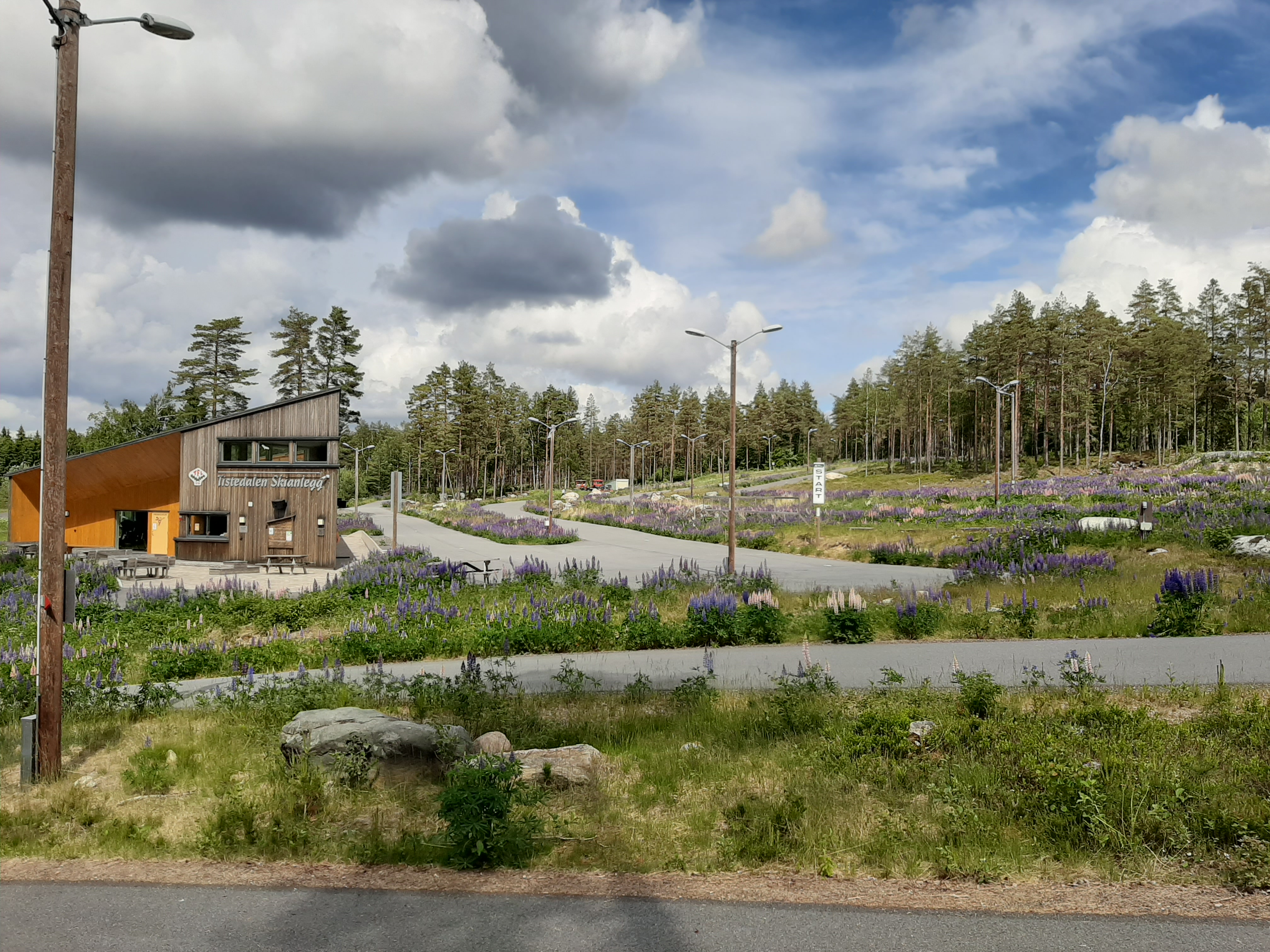 Storfint besøk i skianlegget i uke 32