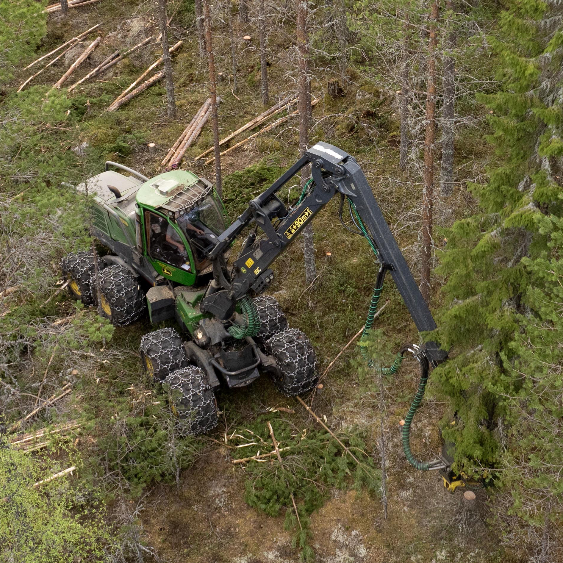 Skogdrift i Ertemarka