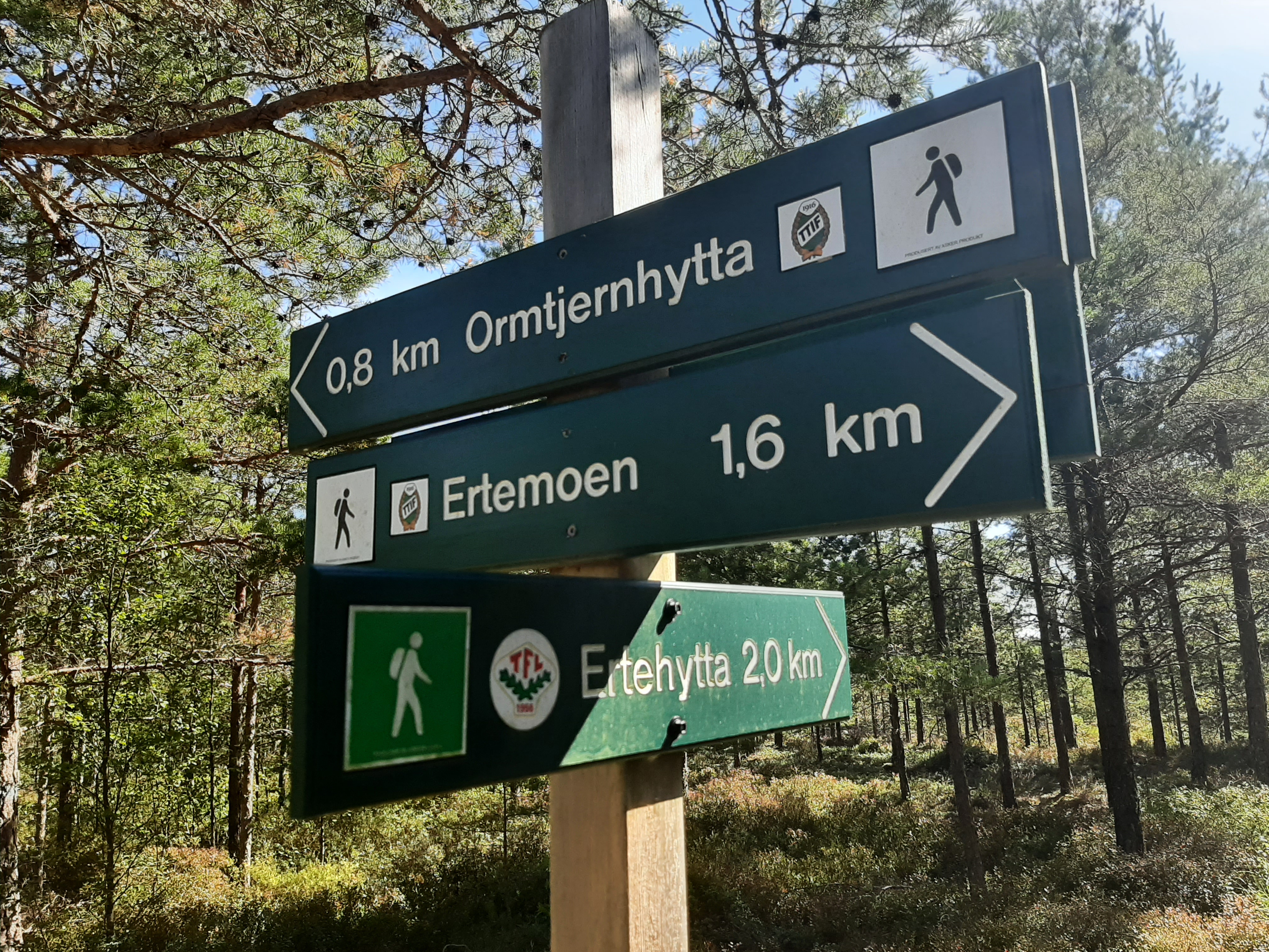 BLI MED PÅ ONSDAGSTUR I ERTEMARKA 