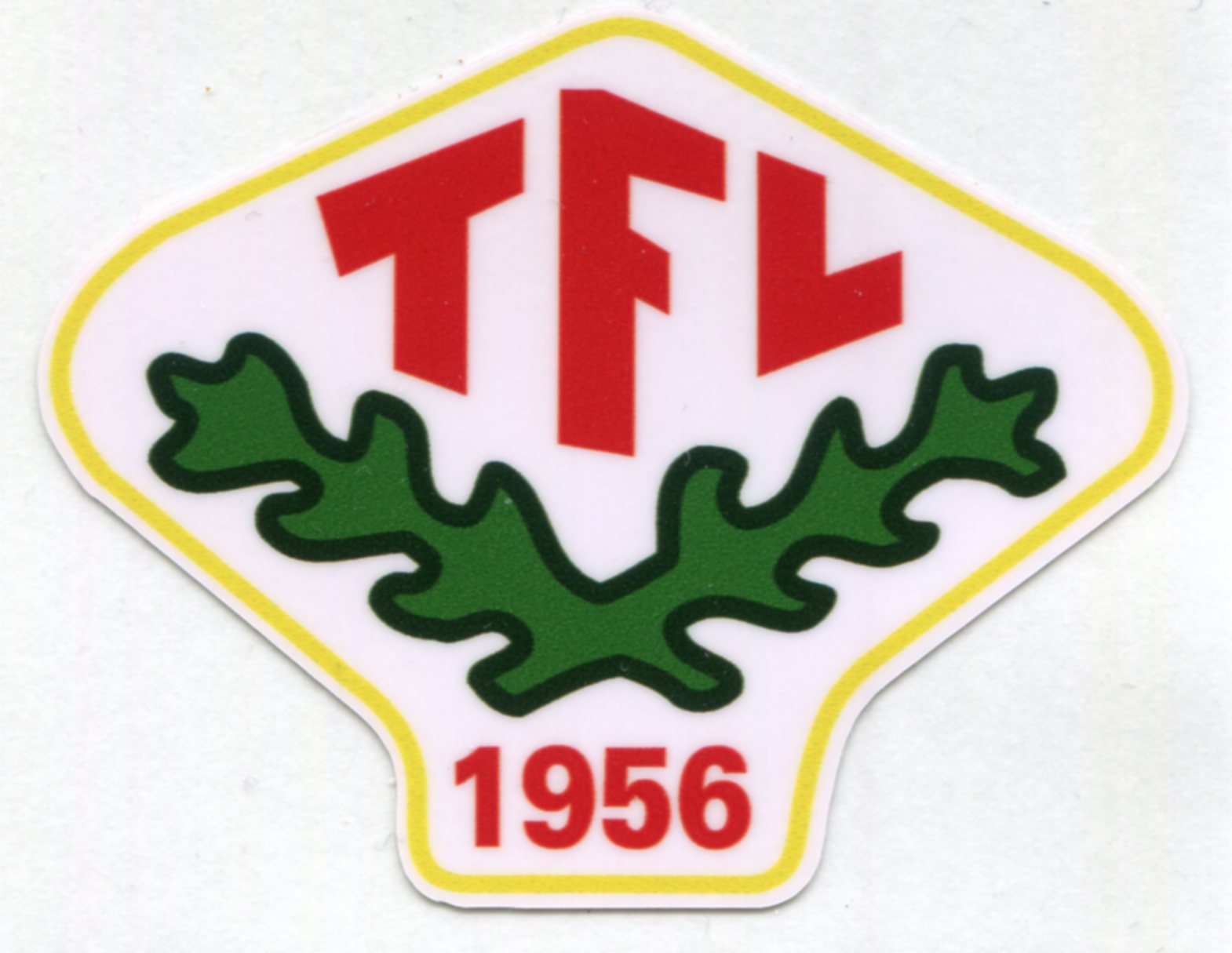 Protokollen fra årsmøtet!