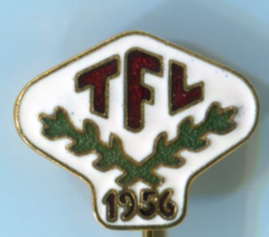 Protokoll fra TFLs årsmøte!