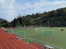 Det grønne skiftet!!