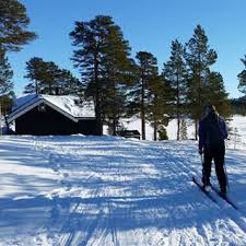 TRIMBØKENE SESONGEN  2018/19