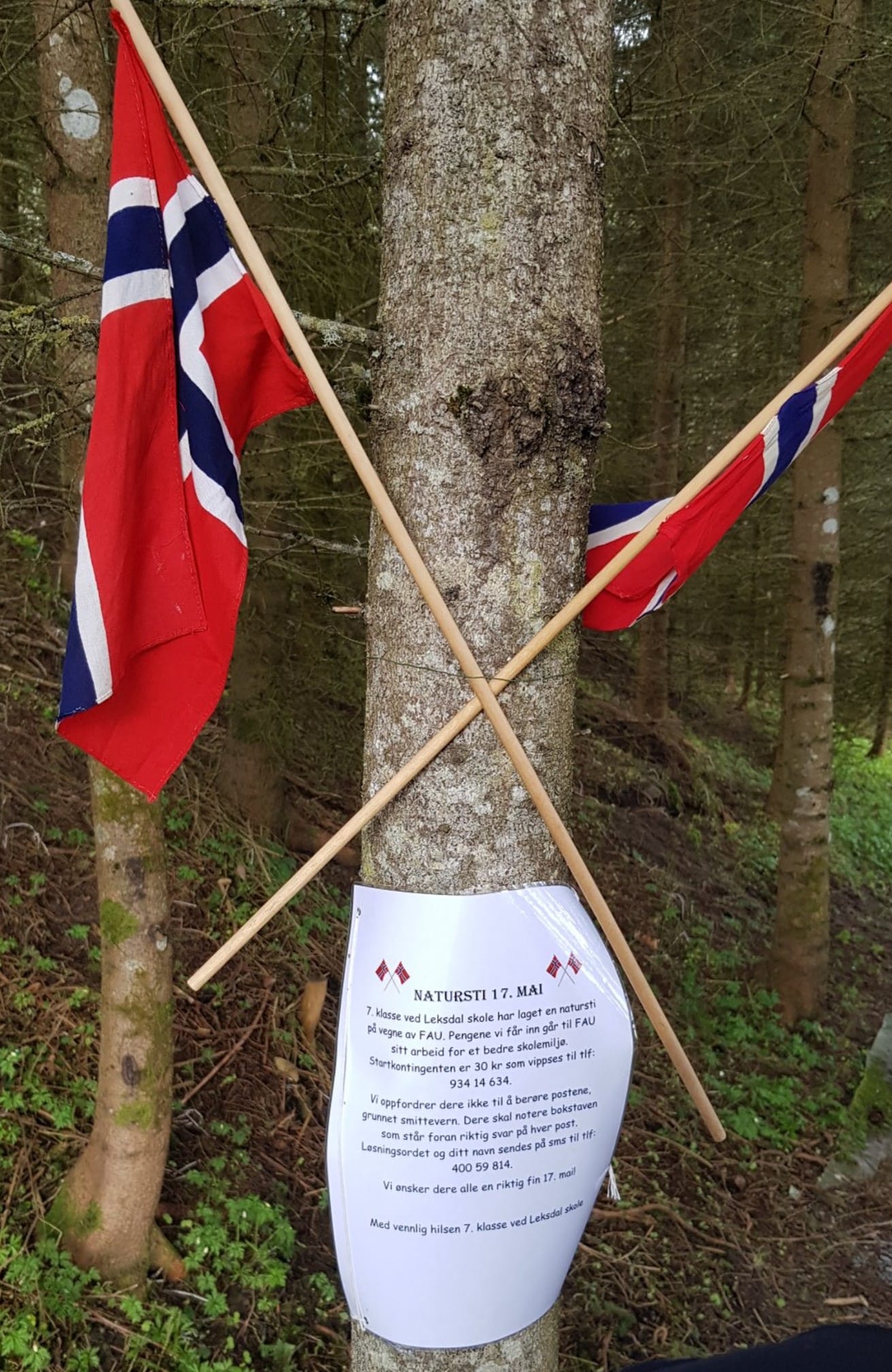Natursti 17 mai