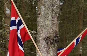 Natursti 17 mai