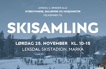 Skisamling
