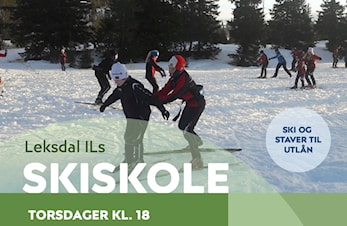 Skiskole 2024