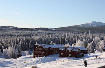 Miljøsamling 2019