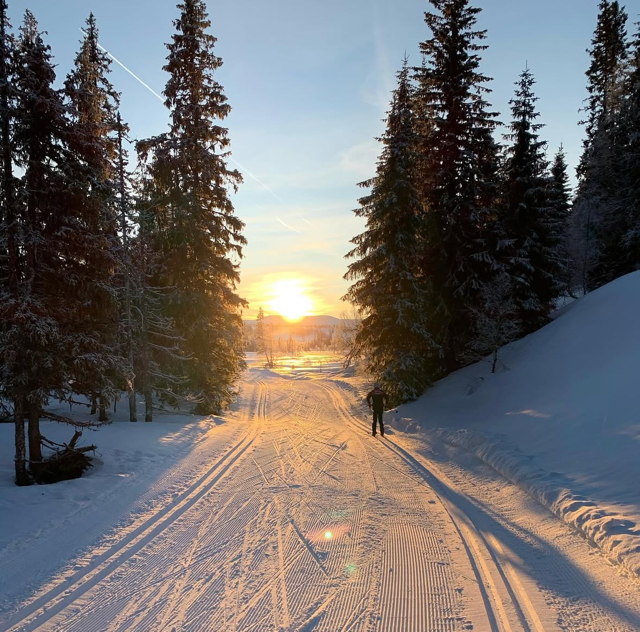 Årets samling i Edsåsdalen endres til hjemmesamling på Frolfjellet
