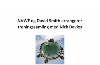 Invitasjon til wakeboard treningssamling med Nick Davies og David Smith
