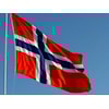Riktig god 17. mai!