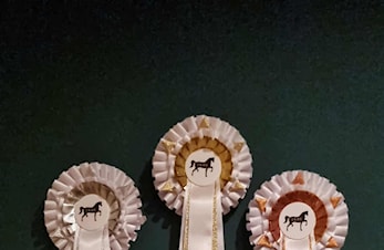 Vi må dessverre flytte klubbmesterskapet i dressur til søndag 26. oktober