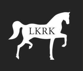 Programridning med teoriøkt søndag 29 mars i Lommedalen ridehall