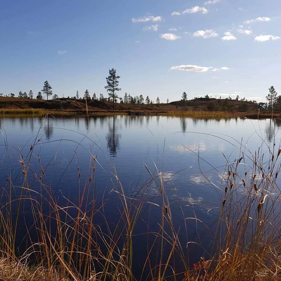 Høsttur til Finngangen søndag 16 september.