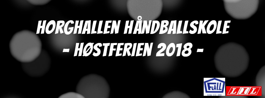 Håndballskole i høstferien 2018