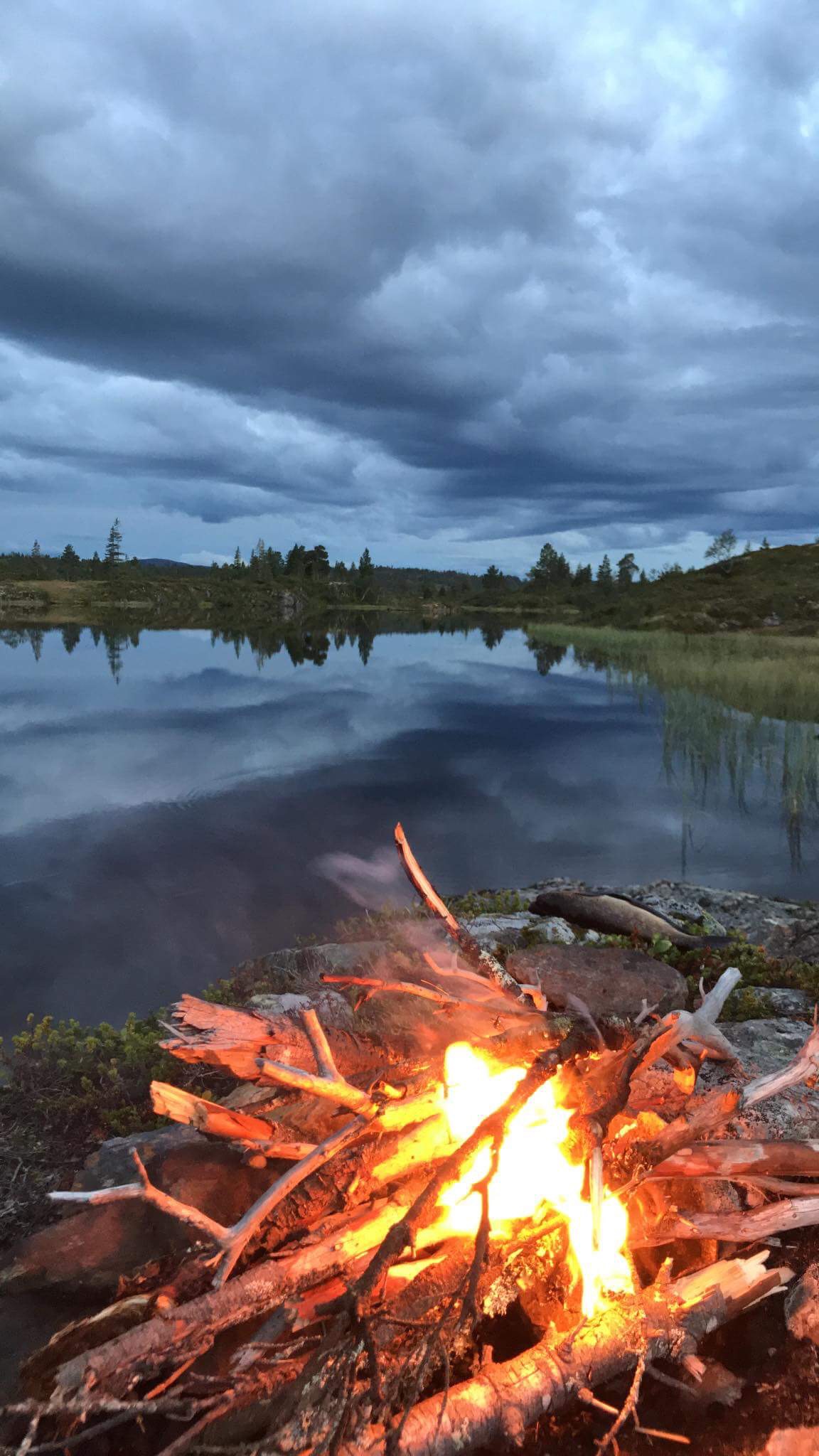 Månedens trimmer i august og månedens trimpost i september🍁
