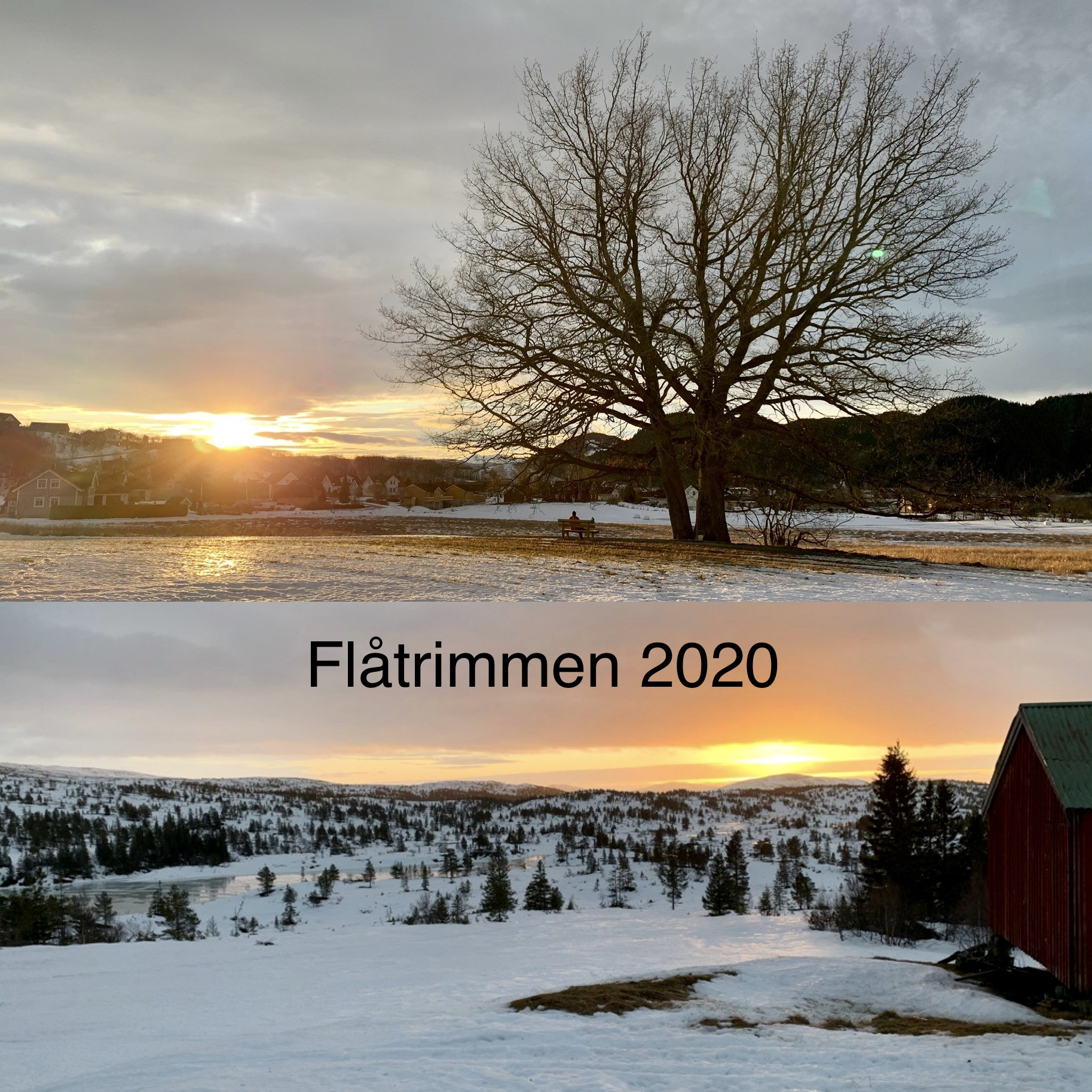Flåtrimmen 2020