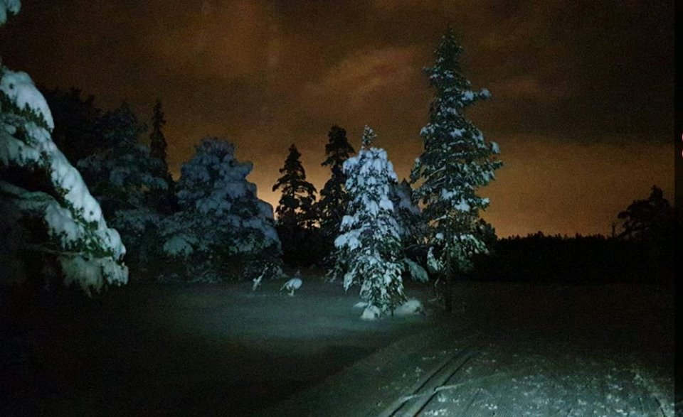 Flåklypa-renn 2019