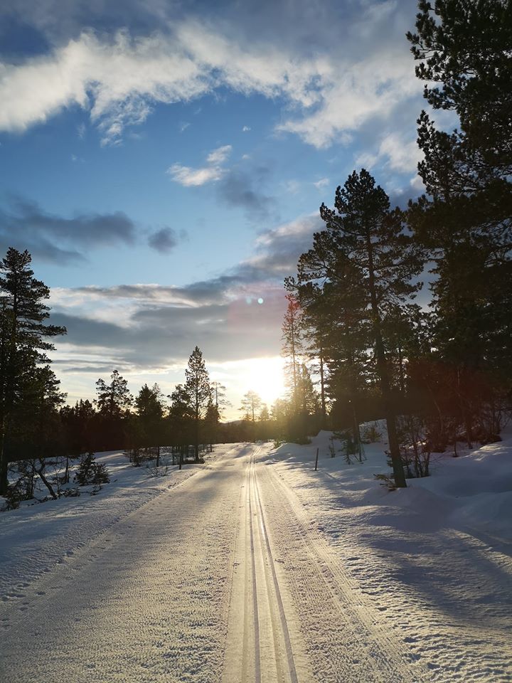 Dagens løype