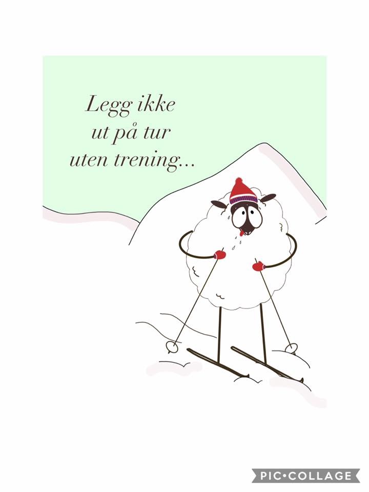 Trimpoeng på seterrennet!