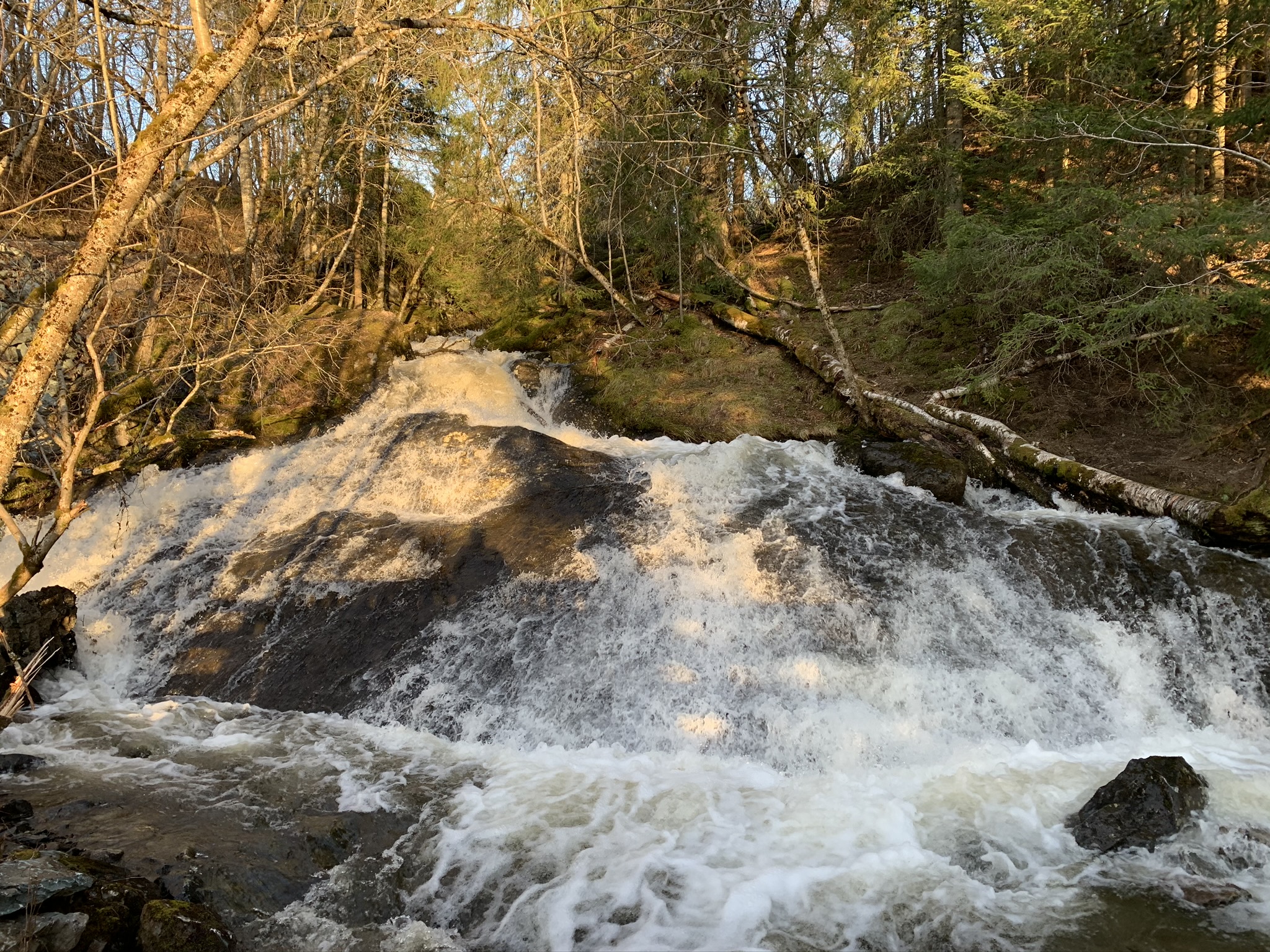 Månedens trimmer i april og månedens trimpost i mai.